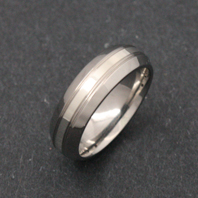 Titanium Ring - Silver Amasis